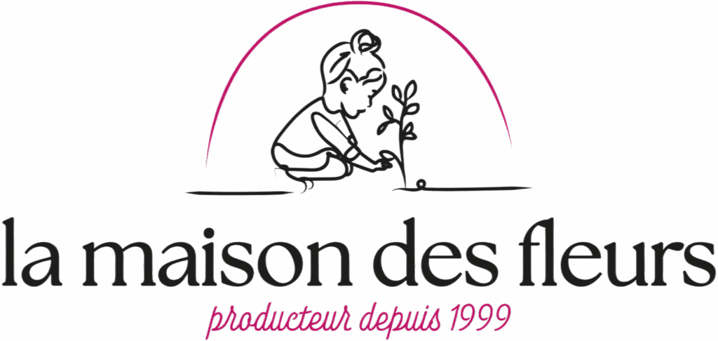 La Maison des Fleurs : Producteur depuis 1999 Logo noir et rose fuchsia sur fond vert foncé : une personne accroupie plante un jeune semis sous une arche rose. Texte : la maison des fleurs, producteur depuis 1999.