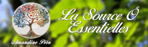 Nouveau Logo